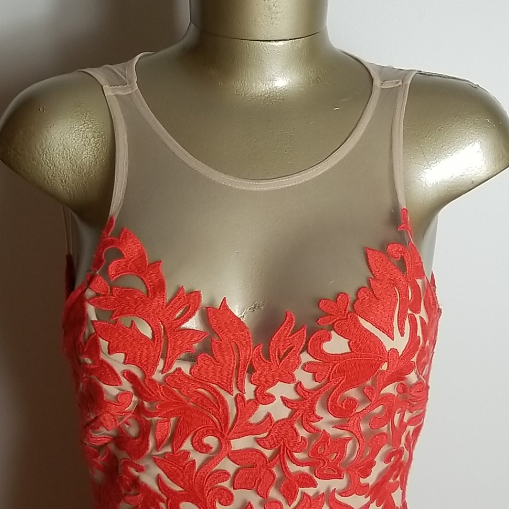 Bebe Rosa Embroidered Laced Sheer Dress - Picture 2 of 6